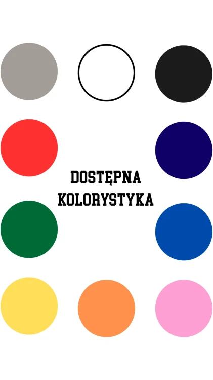 koszulka-meska-kolory.webp