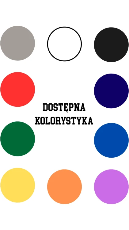 bluza-meska-kolory.webp